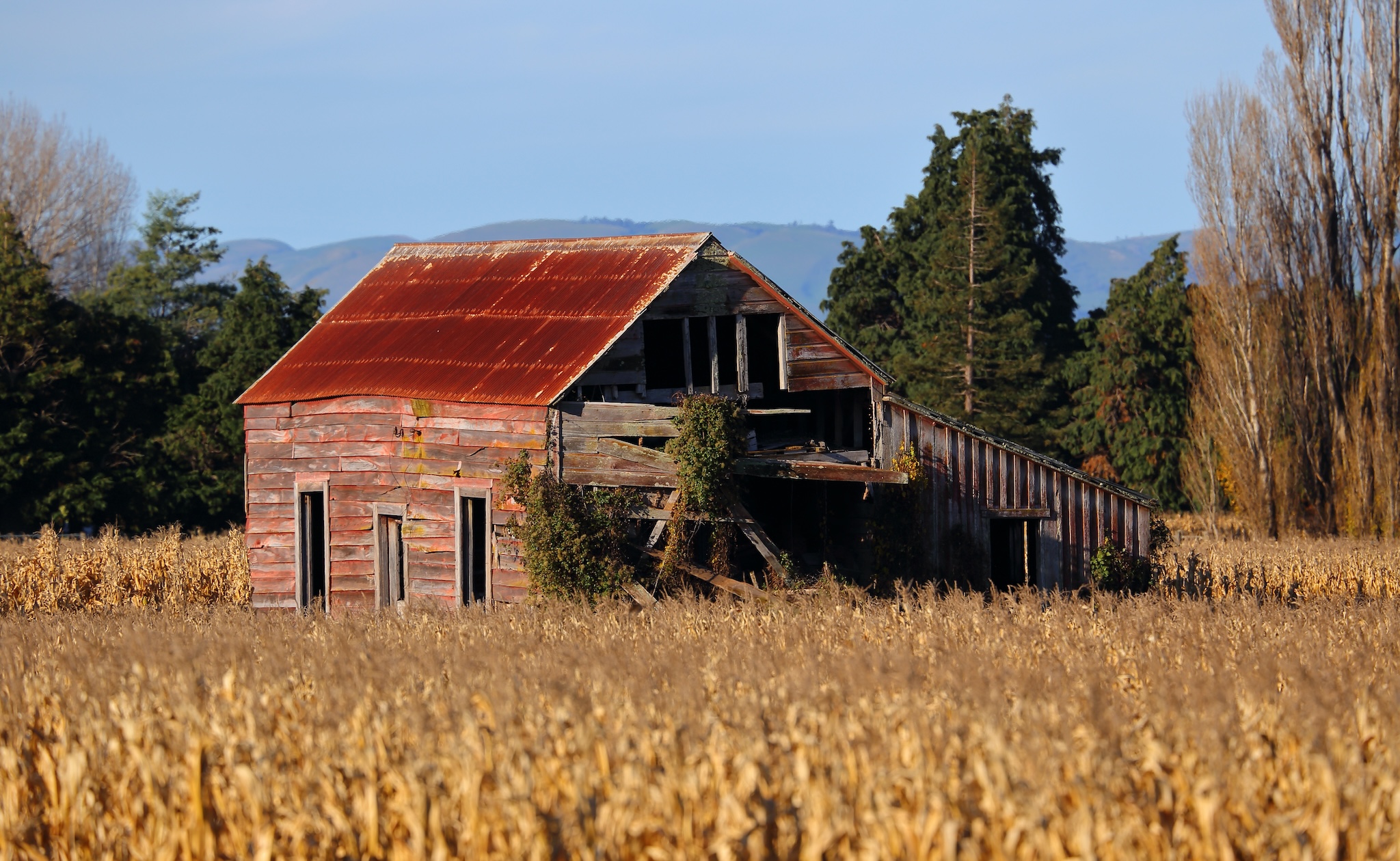 Red Barn